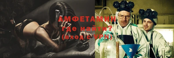 прущие грибы Бородино