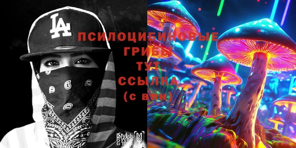 амф Богданович