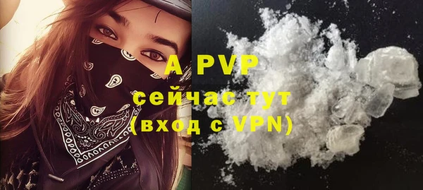 прущие грибы Бородино