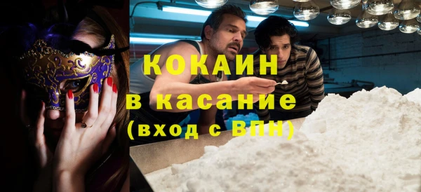 прущие грибы Бородино