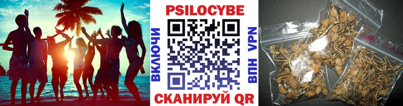 Галлюциногенные грибы GOLDEN TEACHER  Горячеводский 